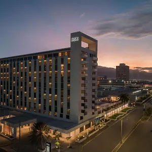 Rok Tapestry Collection By Hilton Hotel Kingston